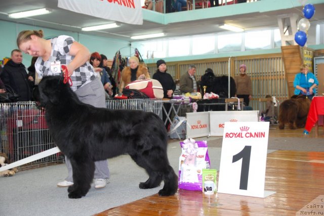 Фотография № 115060