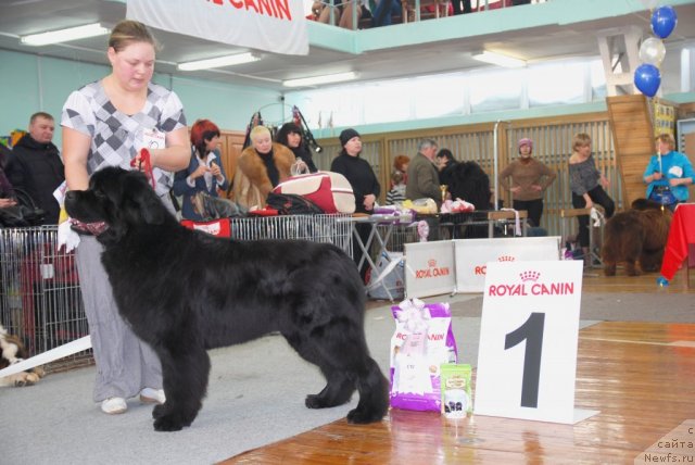 Фотография № 115061