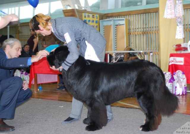 Фотография № 115062