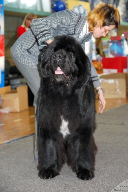 Фотография № 115063