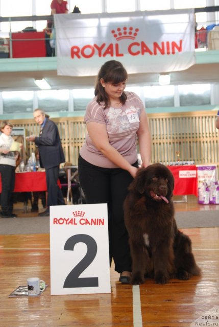 Фотография № 115067