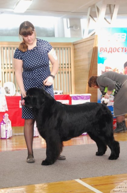 Фотография № 115069