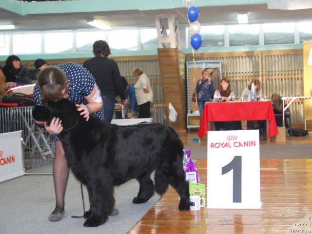 Фотография № 115070