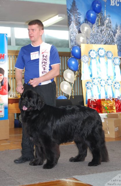 Фотография № 115071