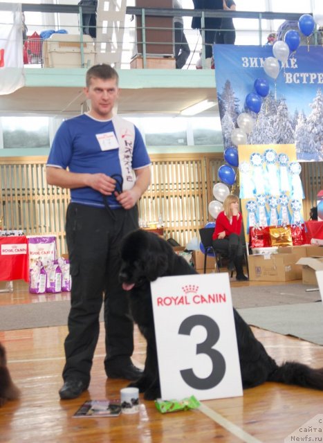 Фотография № 115072