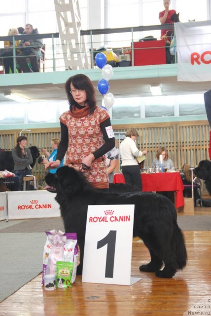 Фотография № 115075