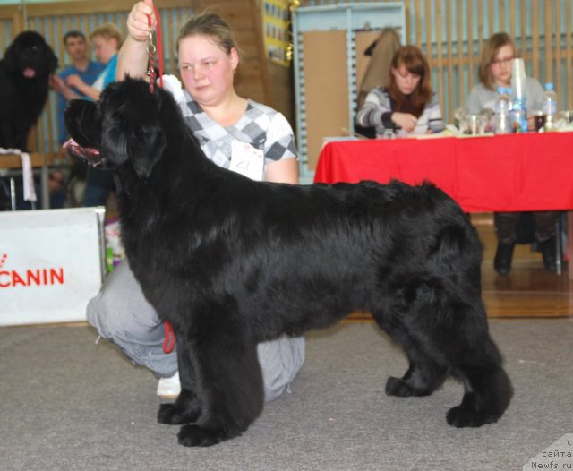 Фотография № 115076