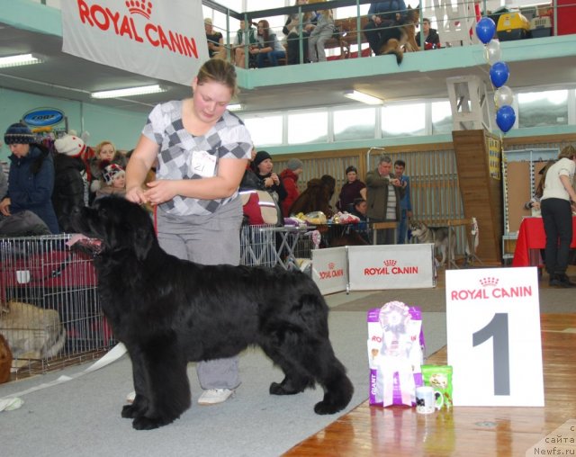 Фотография № 115077