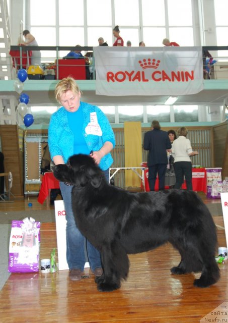 Фотография № 115084