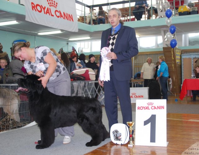 Фотография № 115088