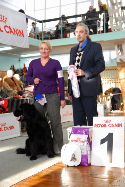 Фотография № 115090