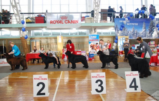 Фотография № 115093