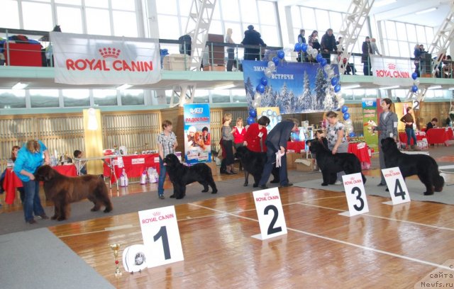 Фотография № 115094