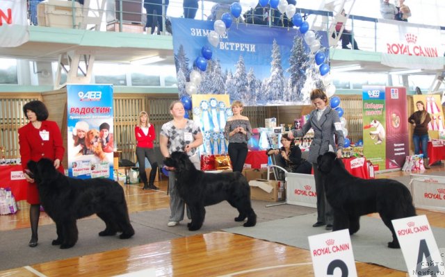 Фотография № 115095