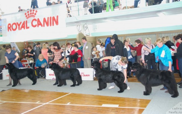 Фотография № 115096