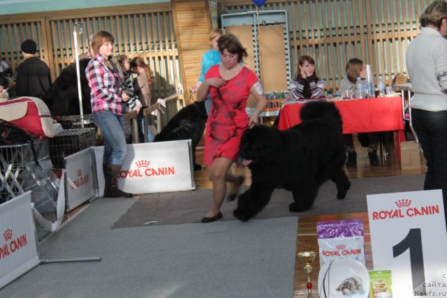 Фотография № 115169