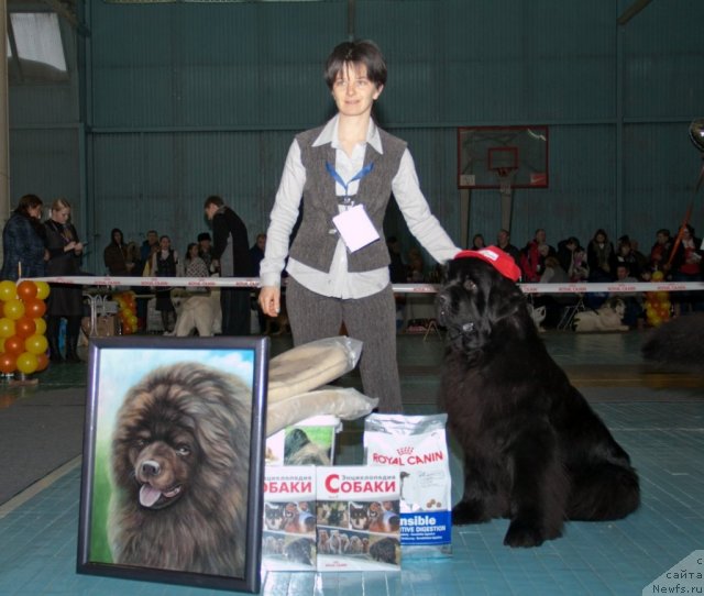 Фотография № 115204