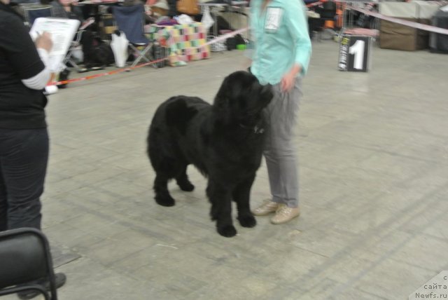 Фотография № 115222