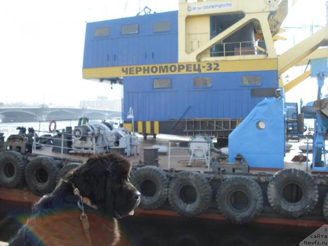 Фотография № 11523