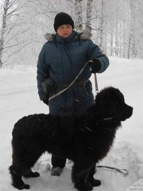 Фотография № 115233