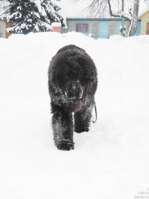 Фотография № 115235