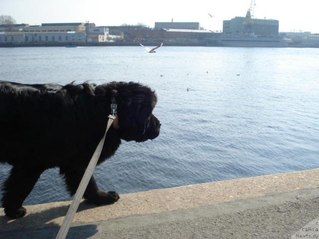 Фотография № 11524