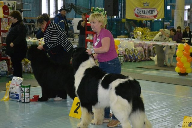 Фотография № 115261