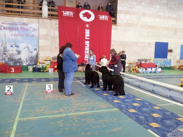 Фотография № 115269