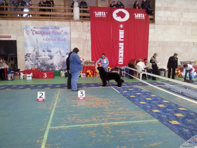 Фотография № 115270