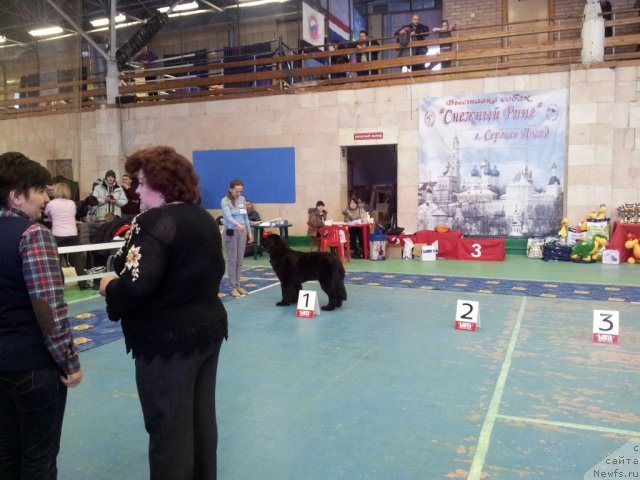 Фотография № 115272