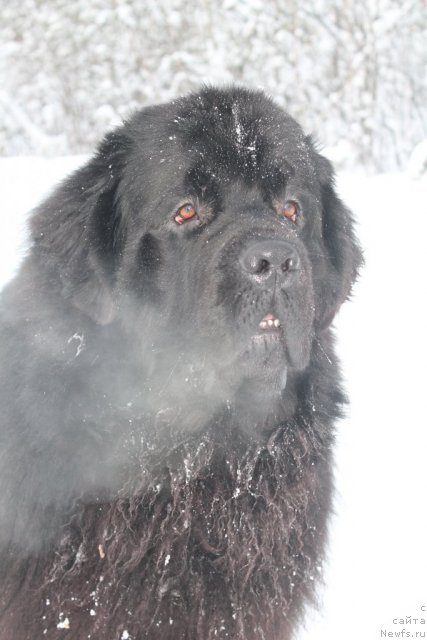 Фотография № 115326