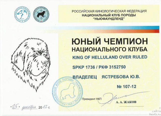 Фото: ньюфаундленд King of Helluland Over Ruled