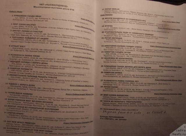 Фотография № 11538