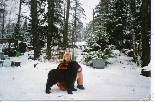 Фото: ньюфаундленд Плюшевая Панда Ингиборг