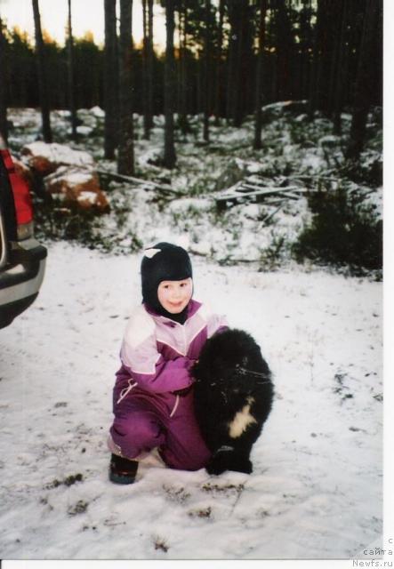 Фото: ньюфаундленд Плюшевая Панда Ингиборг