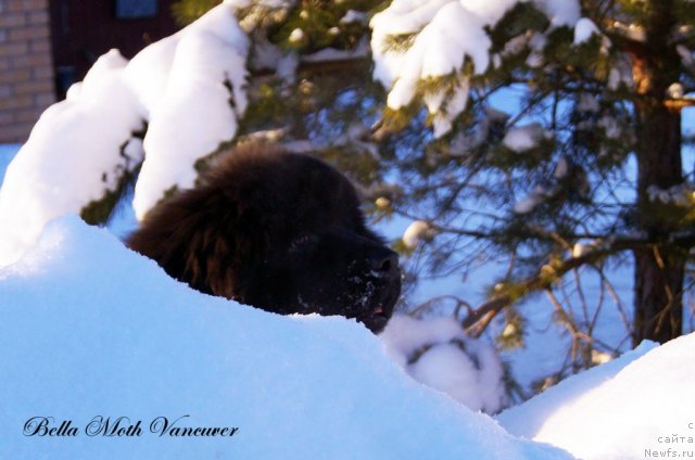 Фотография № 115400