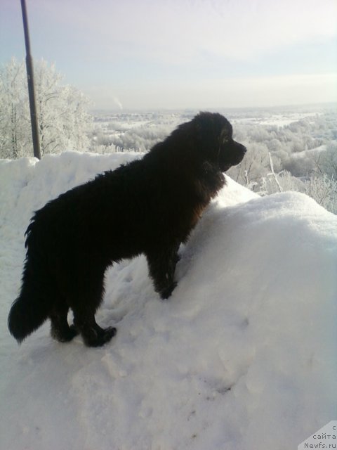 Фотография № 115412