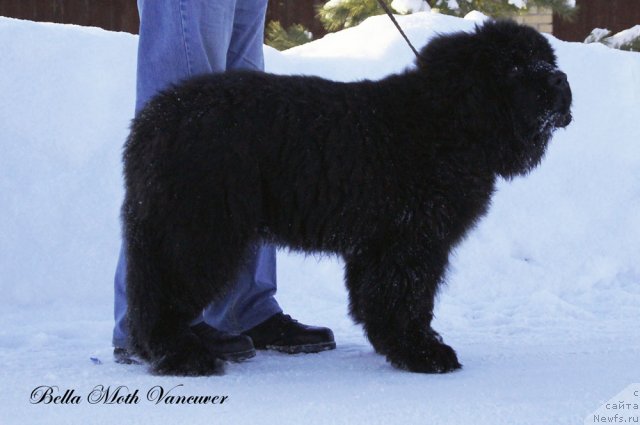 Фотография № 115421