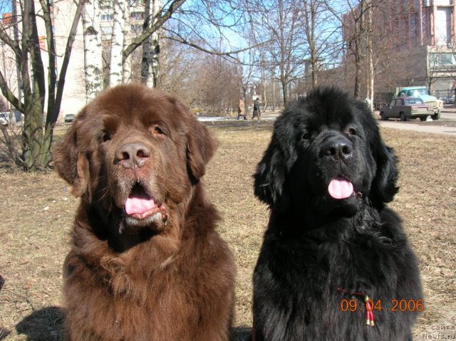 Фотография № 115436