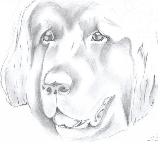 Фотография № 115446