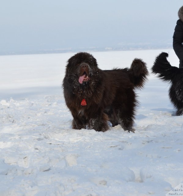 Фотография № 115460