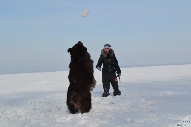 Фотография № 115461