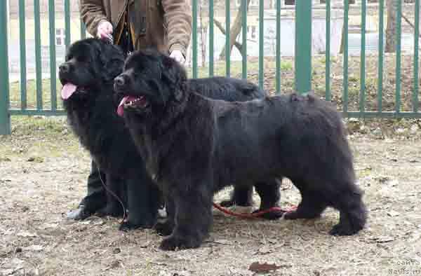 Фотография № 11548