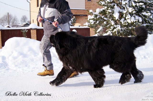 Фотография № 115481