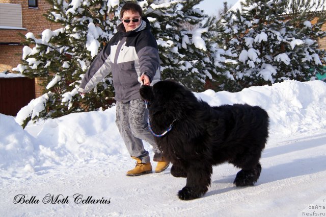 Фотография № 115484