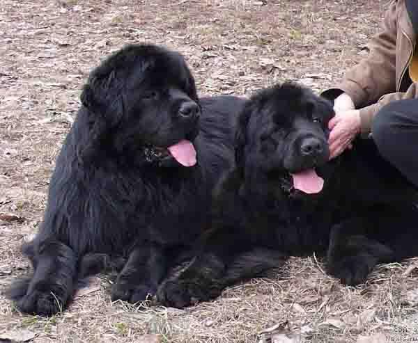 Фотография № 11550