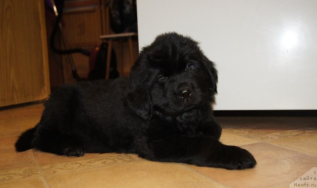 Фотография № 115504