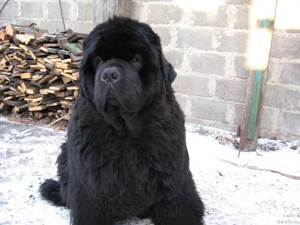 Фотография № 11554