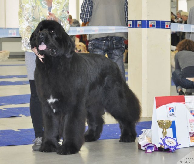 Фотография № 115540