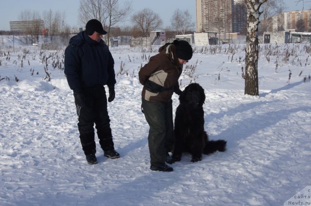 Фотография № 115558